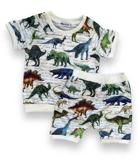 Dinosaur T-Shirt & Short Set