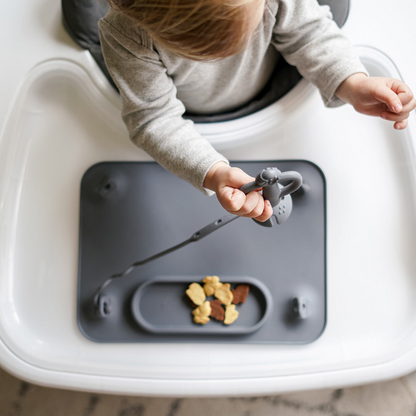 Original Mat with Toy Straps